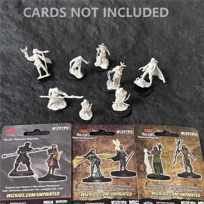 Pathfinder Board Game Dungeons Miniatures Male Elf Human Fighter Dwarf Barbarian Rust Monster Half Orc Role Playing Figures